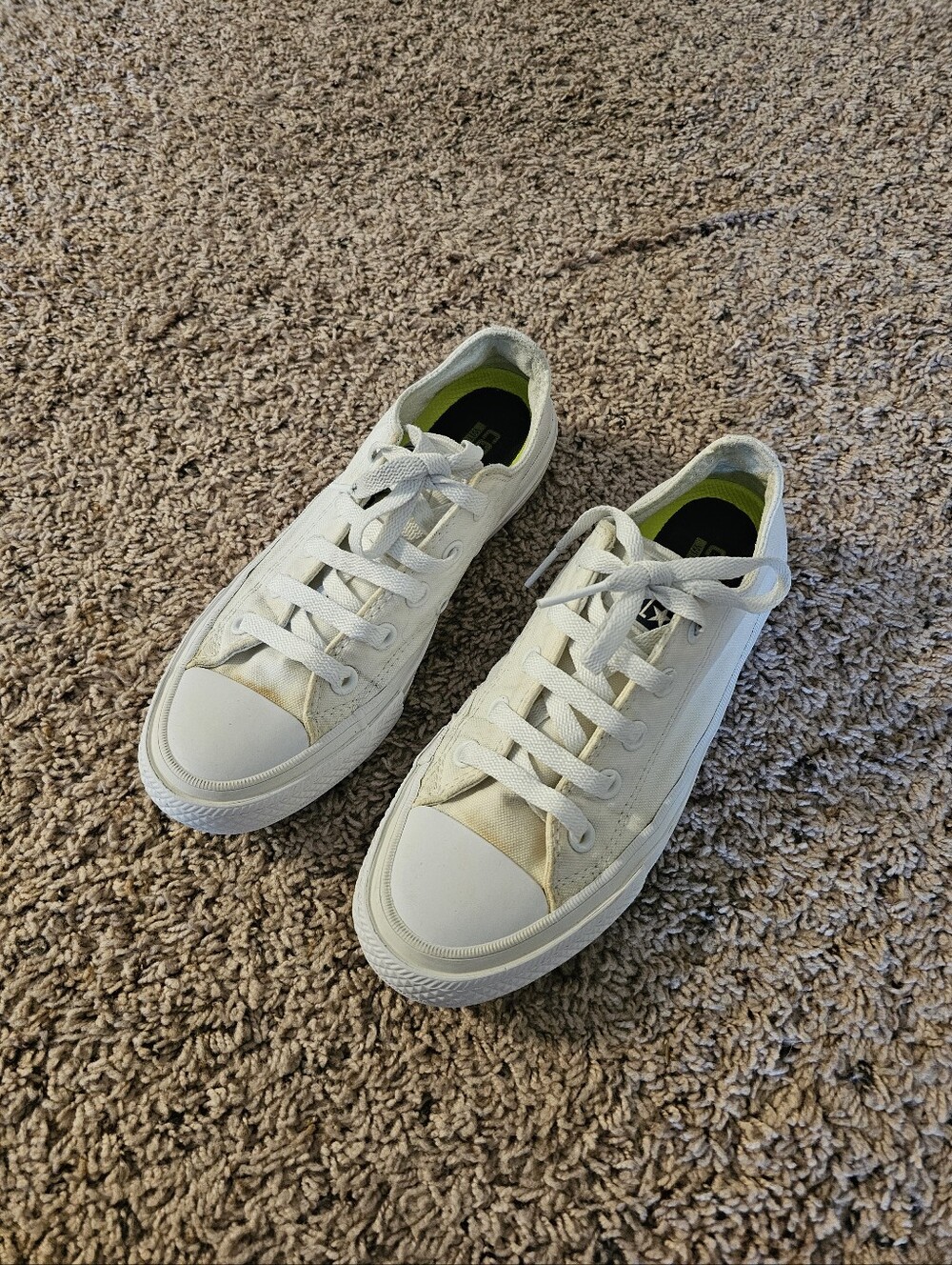 🤍Converse All Star Low-Top Canvas Sneakers